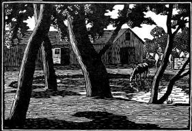 wood-engraving of The Farm Pond